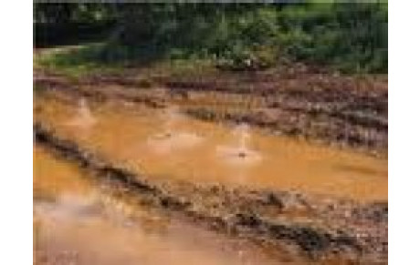 Concours de saint-Germain sur Morin 