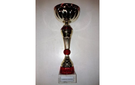 Concours de Vincennes des 5 et 6 novembre